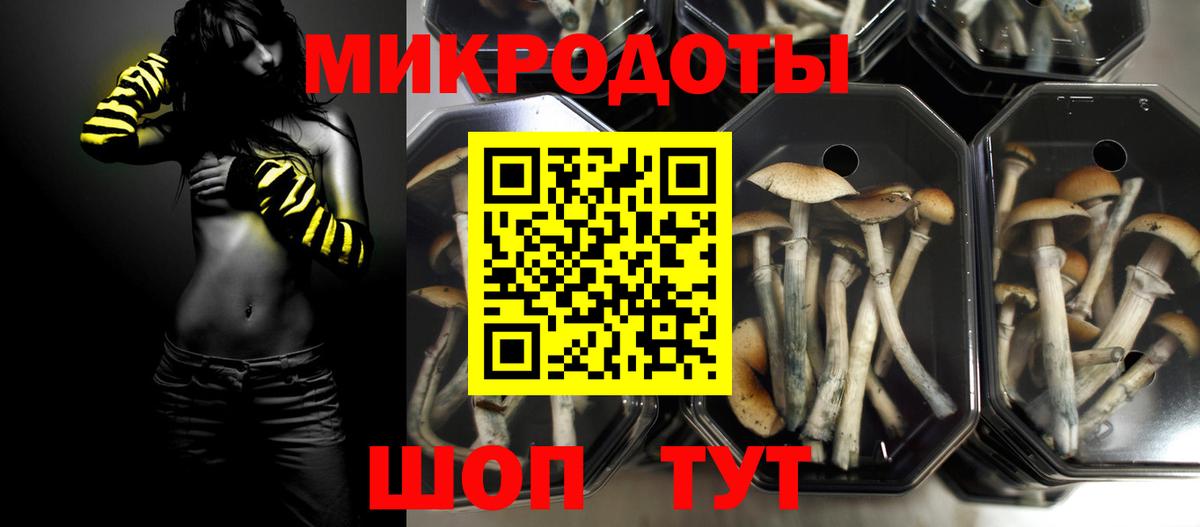 Галлюциногенные грибы Psilocybe  Вход с VPN  Ковров  Псилоцибиновые грибы ЛСД 